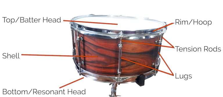 Parts of acoustic snare drum annotated. Lugs, tensions rods, rim, hoop, shell, batter resonant head
